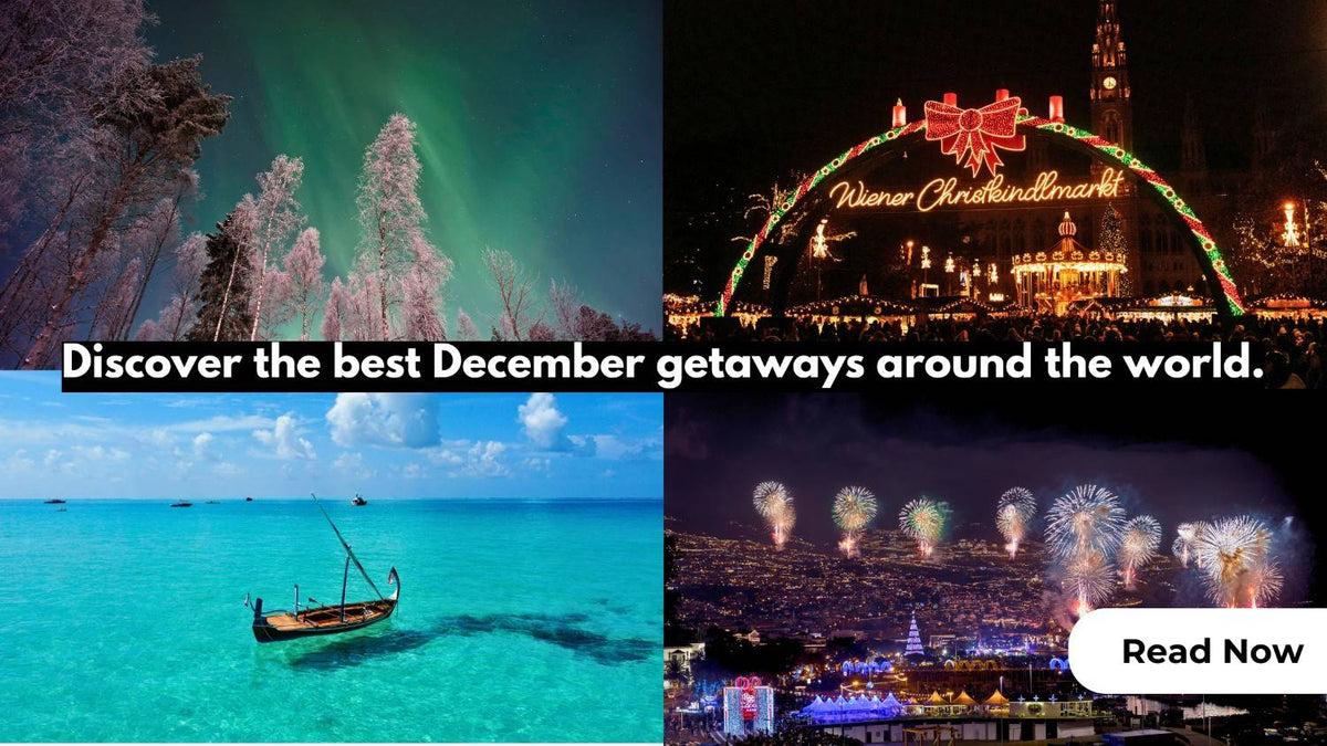 Image showing four distinct December destinations: Northern Lights in Lapland, a festive Christmas market in Vienna, a tropical turquoise beach with a boat in Maldives, and a city skyline with New Year's fireworks in Funchal.