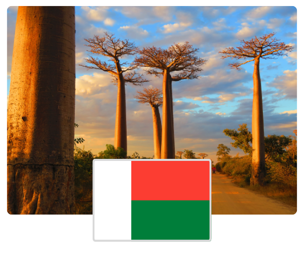 Madagascar