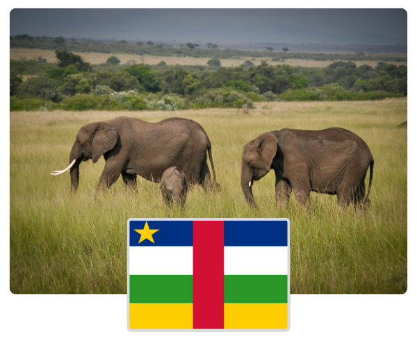 Central African Republic