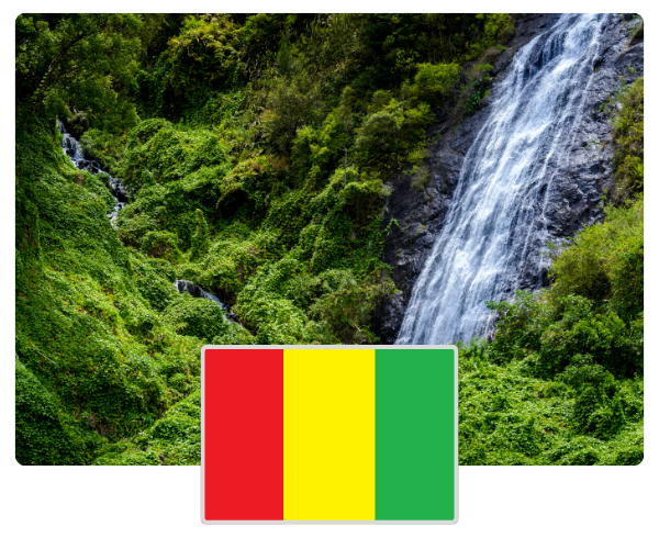 Guinea