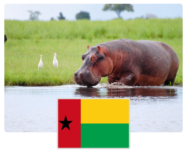 Guinea-Bissau